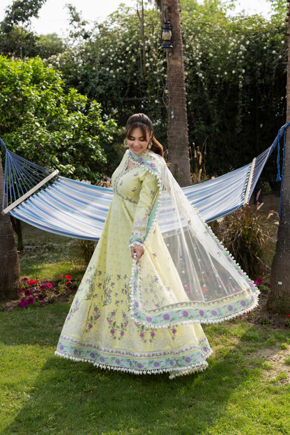 Aneelas untitched Emb Lawn Frock Net Emb Duppata