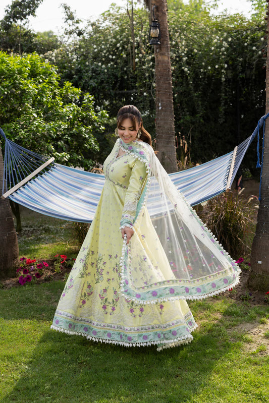 Aneelas untitched Emb Lawn Frock Net Emb Duppata
